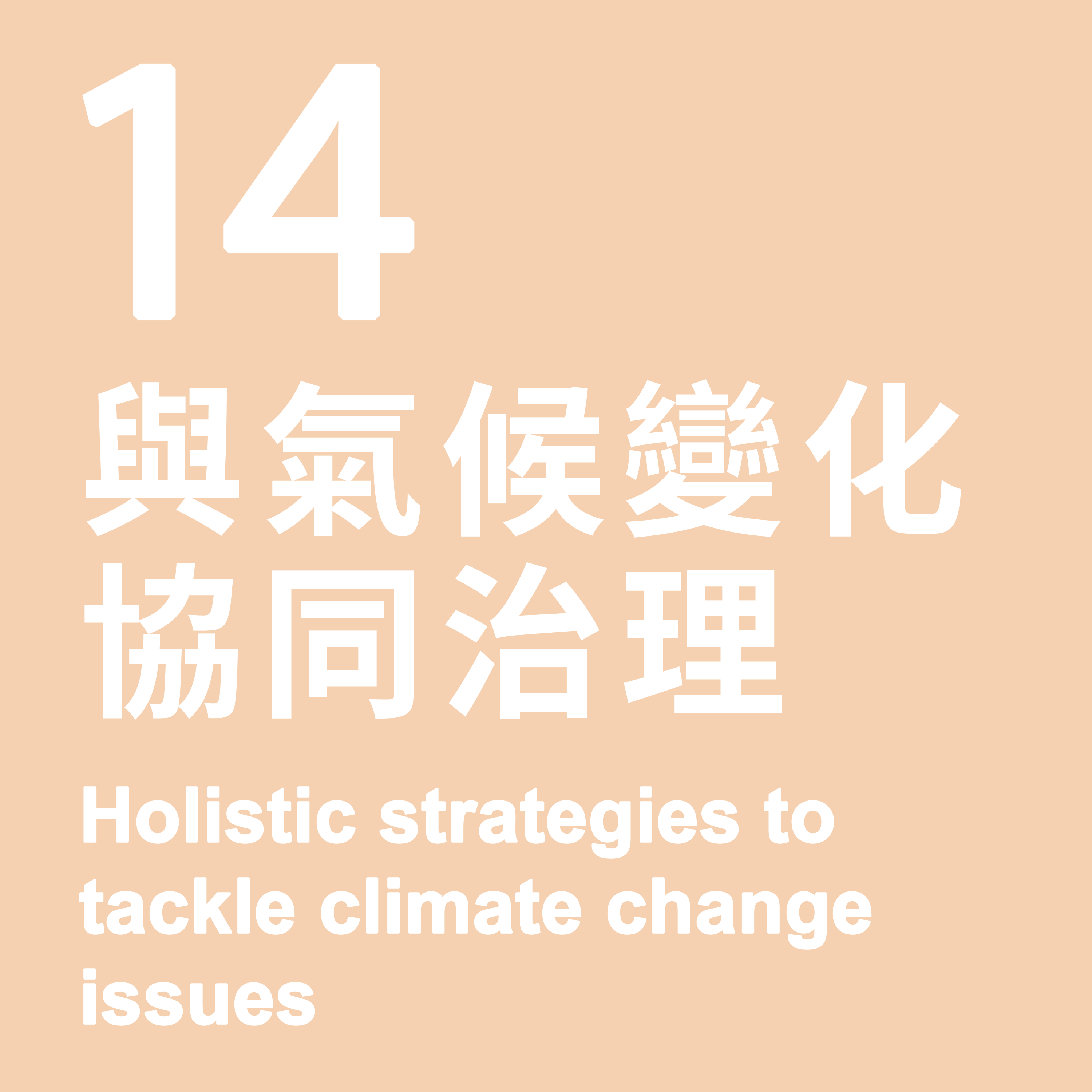 14. Holistic strategies to tackle biodiversity and climate change issues